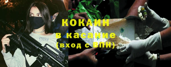 сатива Новодвинск