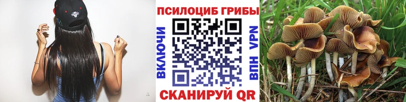 Галлюциногенные грибы мухоморы  Тверь 